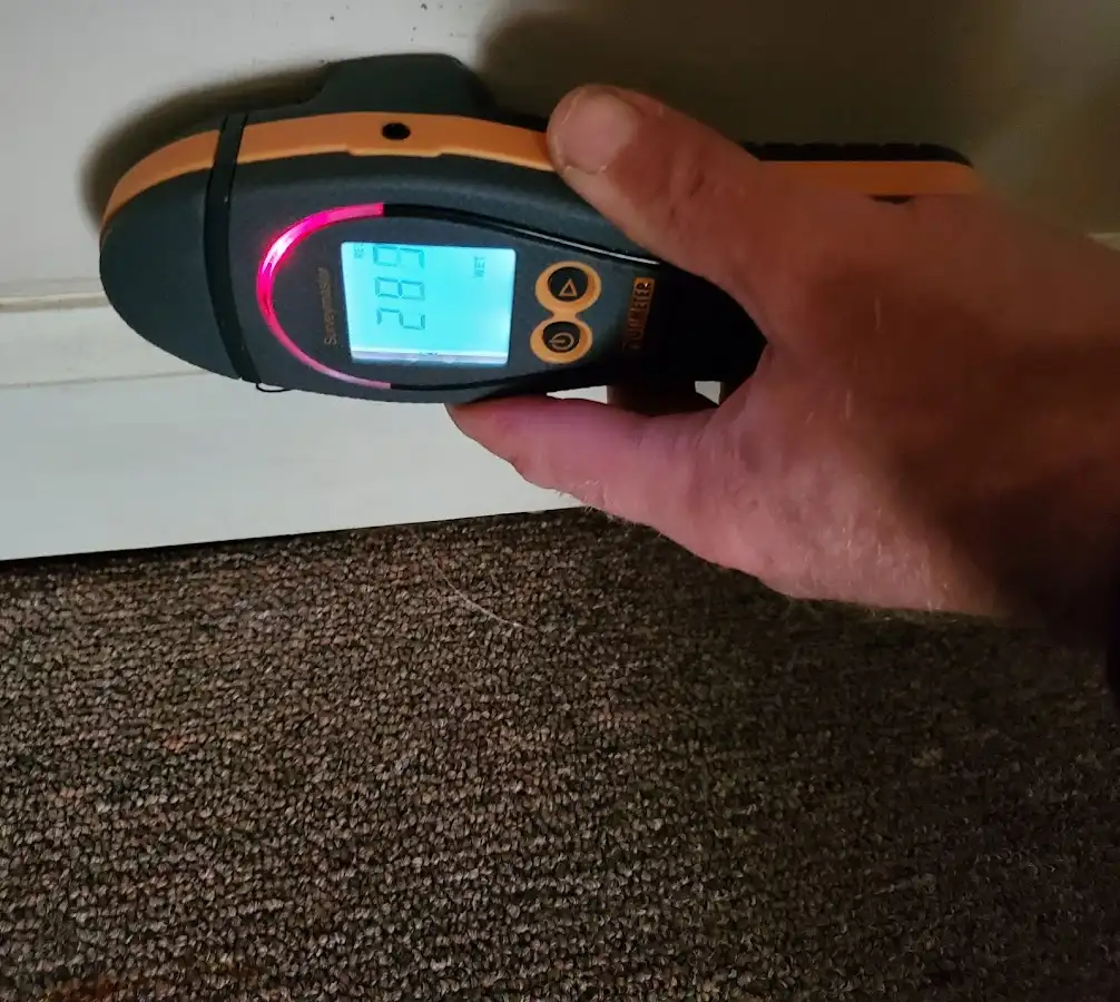 Moisture detection at baseboard during Burst Pipe Cleanup in Orange